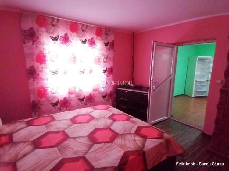 Lipova, gospodarie completa, 2 case si 2900 mp teren - 8