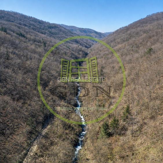 Pădure de vânzare în Scheii Brașovului 2 hectare de natură Brașov Schei - 2