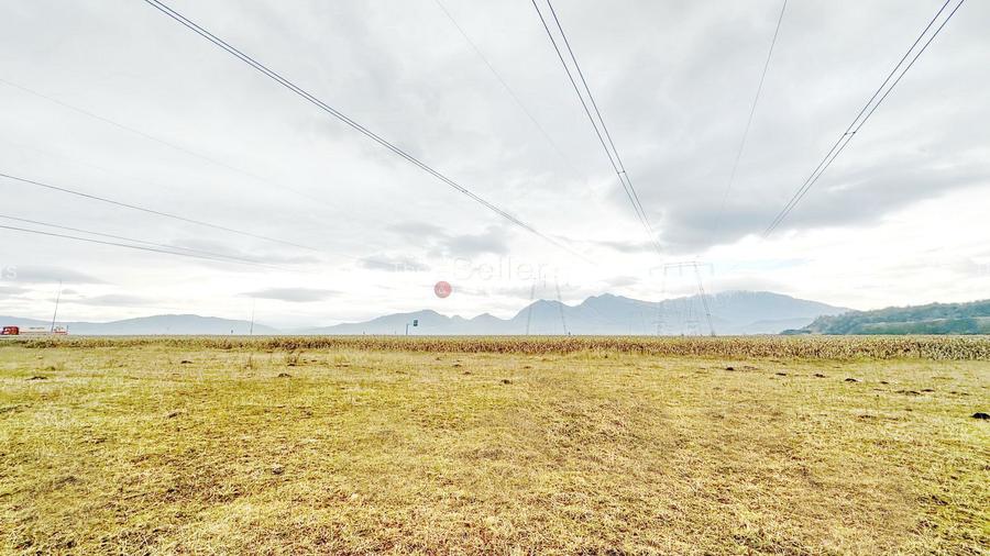 Teren Intravilan - Pretabil Constructie Industriala - 3