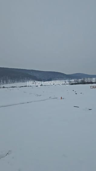 Hala de 600mp, teren de 1200mp, Gilau - 3