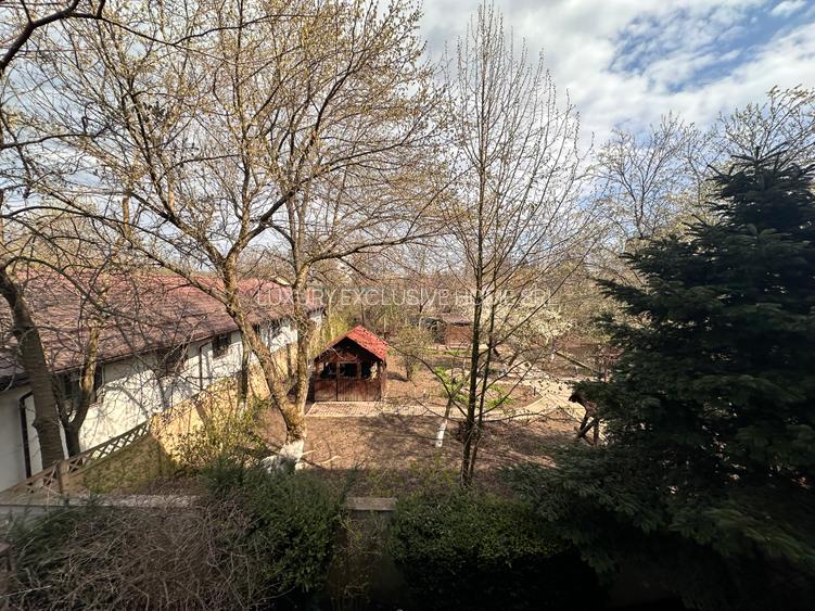 Iancu Nicolae Privighetorilor Rezidence - 24