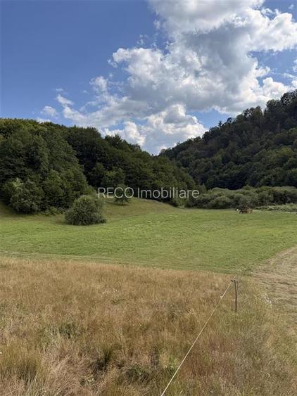 Reco, Teren Rosia - 2