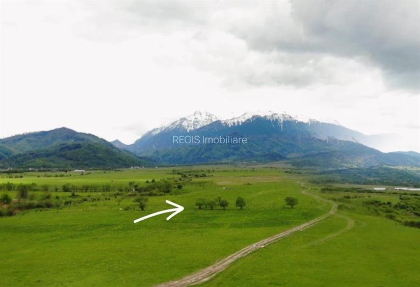 Investitie: 1 Ha Teren intre Rasnov si Bran, Panorama Bucegi - 5