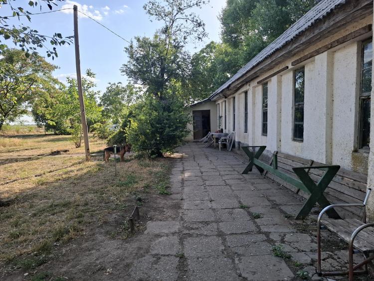 Ferma cu teren agricol de vanzare in Nadlac