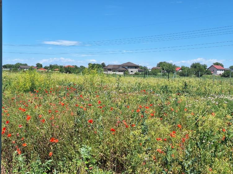 Teren Tărtășești, ocazie unică, zonă în maximă dezvoltare ! - 6