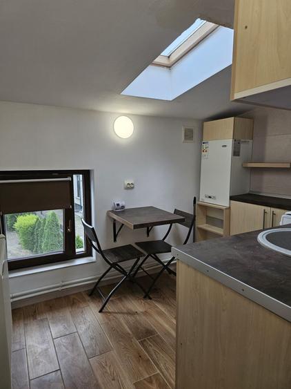 Apartament 1 camera de inchiriat in vila, zona Centru-Primarie