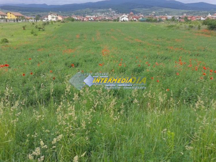 Teren intravilan 4300 mp de vanzare Alba Iulia, Zona Cetate