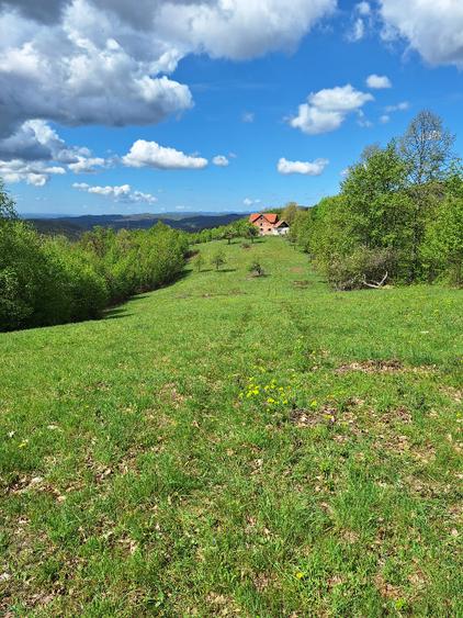 Vand teren extravilan 4.6 ha