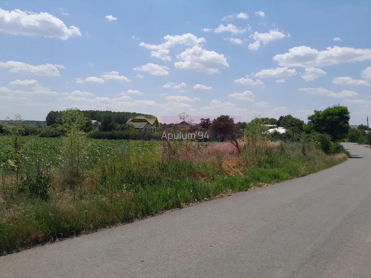 DE VANZARE 2 LOTURI LIPITE (TOTAL 16.500 MP) IN SAT TEISORI (GR) - 3