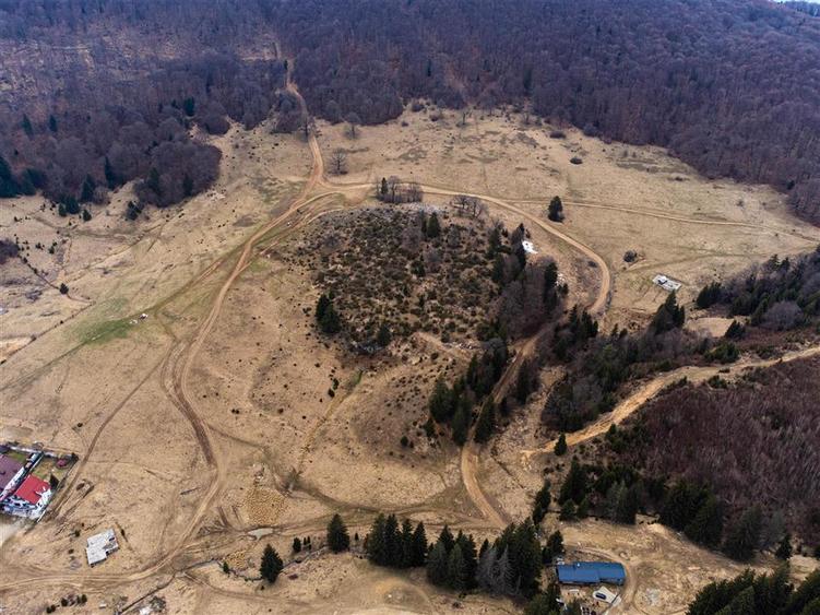 Teren Intravilan 6500 MP- Valea Poienii Aviatorilor ,Aproape de Poiana Brasov si