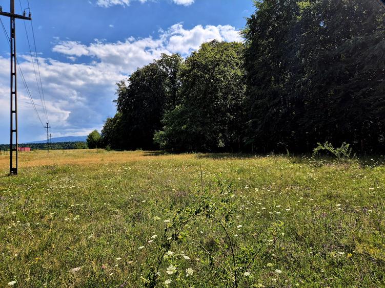Teren 1000 mp intravilan/Sambata de Sus Brasov