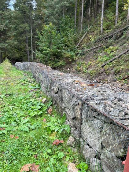 Cabană cu 4 camere, zona Șugag - Tău – Bistra - 9