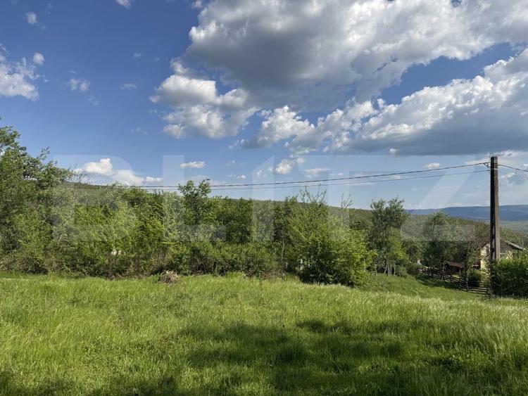 Teren intravilan de vanzare, 15080 mp, zona Tătărăști