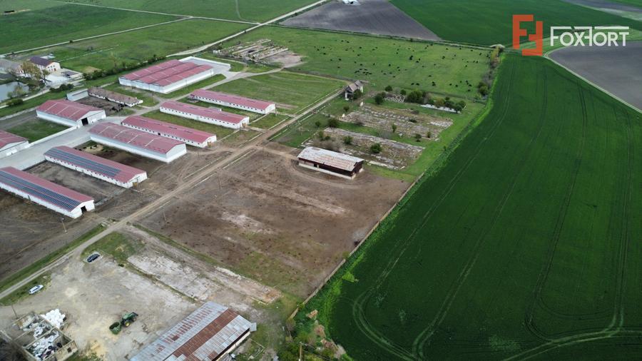 Teren intravilan cu suprafata de 58.340 mp, in Sanmartinul Sarbesc