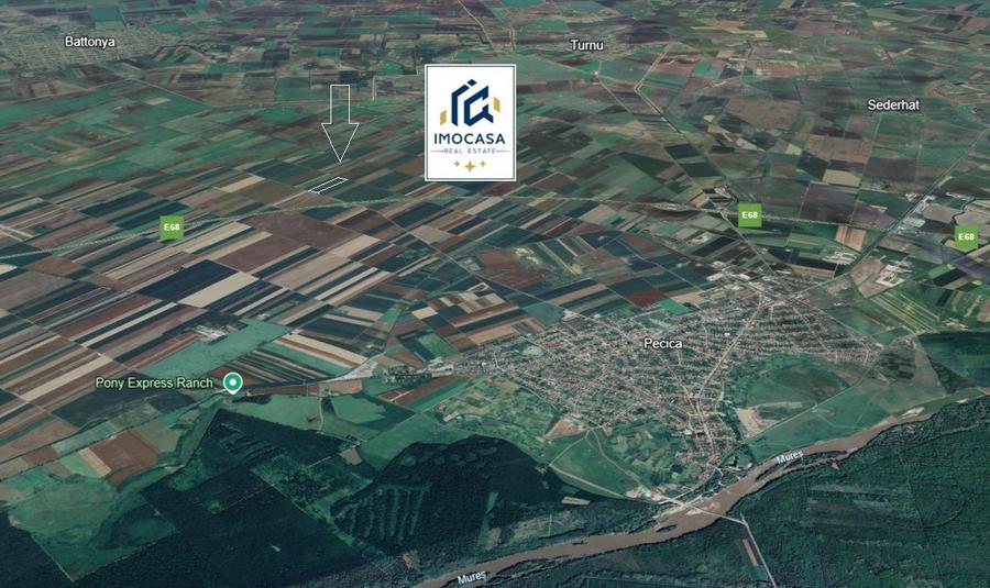 Teren extravilan Arabil compact Pecica Arad