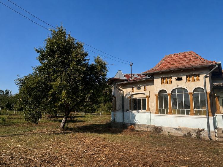 Proprietate cu 2.109 m² teren intravilan și două case, în Olanu