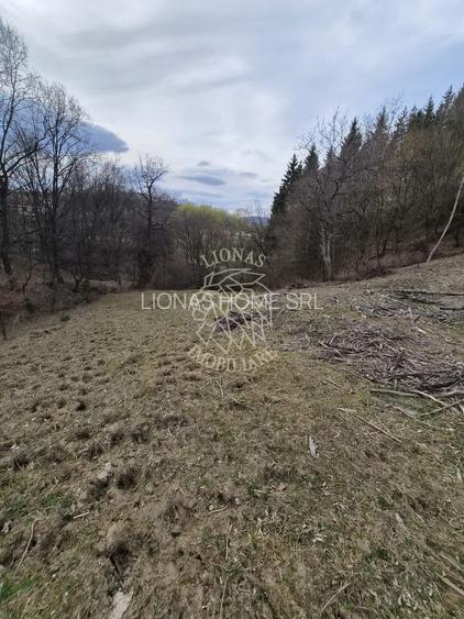 Teren 500 mp- 5 minute centru- investitie, cabana in natura, Bistrita - 2
