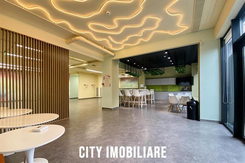 Spatiu comercial 250 mp + terasa 70 mp, Grigorescu, Parter, Ideal HoReCa Showr