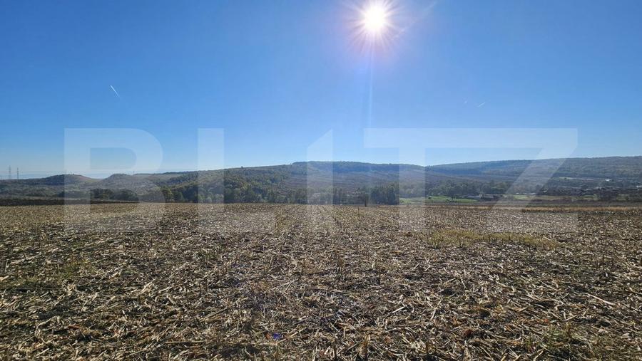 Teren extravilan, 17.000 mp, zona Almasu Mic