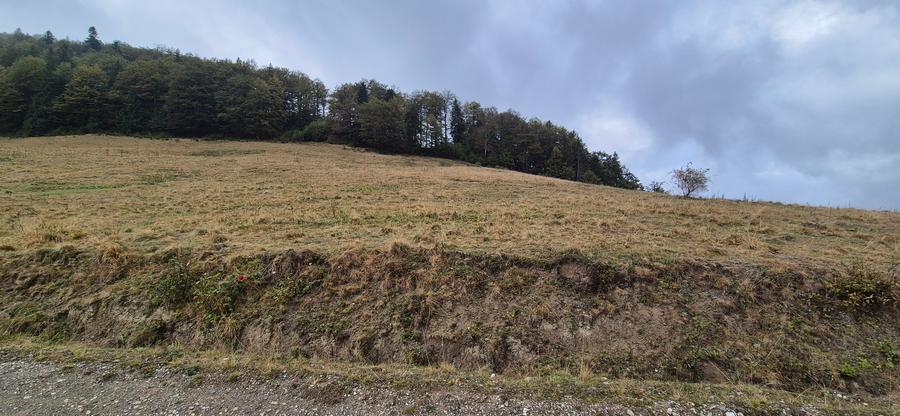 Teren deosebit in cadru de poveste langa cabana Diham, Glajerie