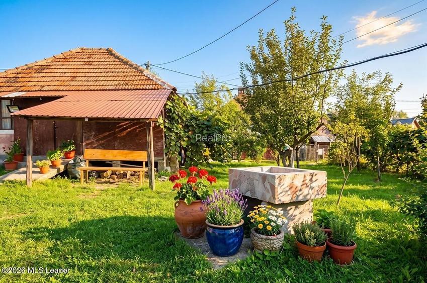 Curtea de Arges - Casa P+M, 270 mp, Teren 3149 mp