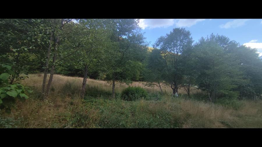 Teren Intravilan 3.542 mp + Teren Extravilan 900 mp|zona Râul Mic| Cugir