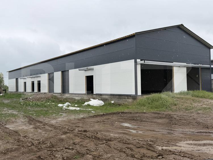 3 hale noi pe parter a câte 590 mp, teren 4.000 mp, zona Ghercești