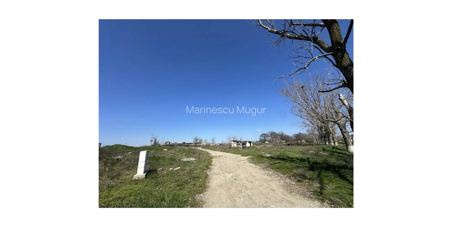 Teren intravilan 11.635mp de vanzare - 3