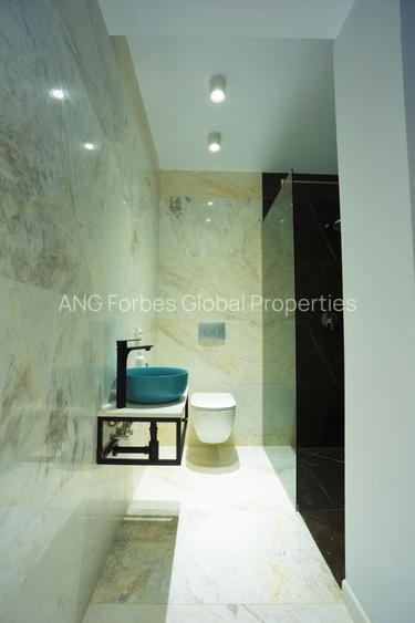 Vila Exclusivistă în Zona Iancu Nicolae – O Oportunitate Unică - 11