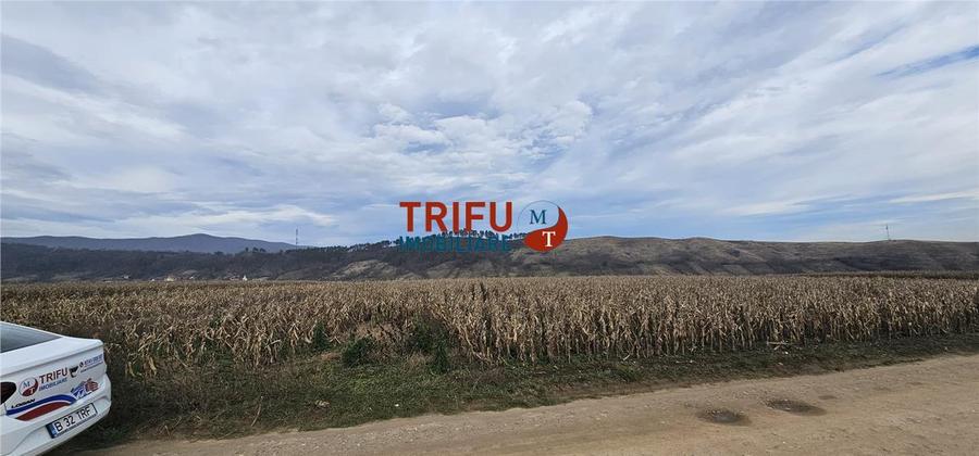 Teren Extravilan în Zona Paclisa, Alba Iulia 3400mp