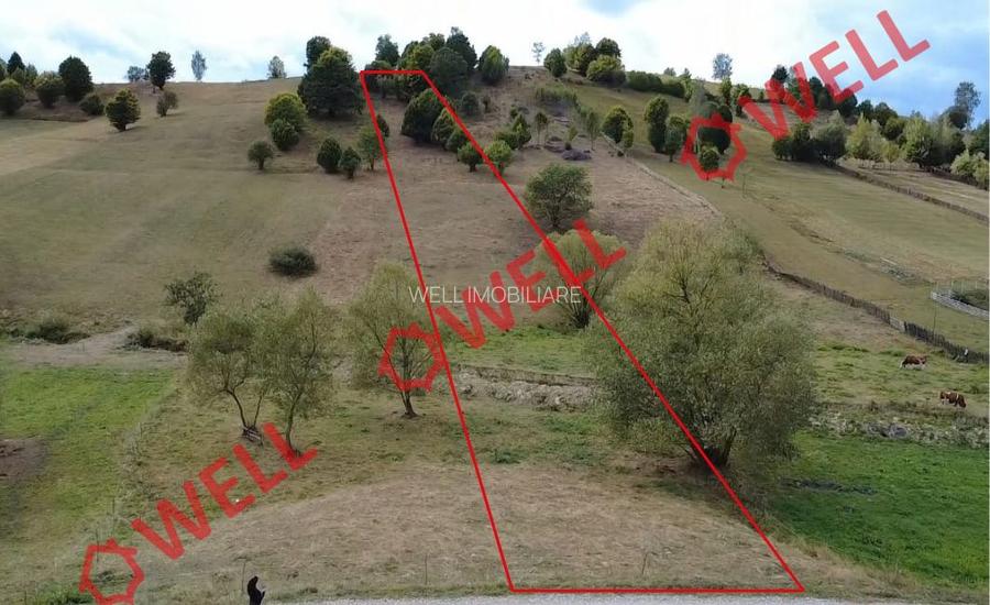 Teren de vânzare în Barcani, zona Nadeș! - 10