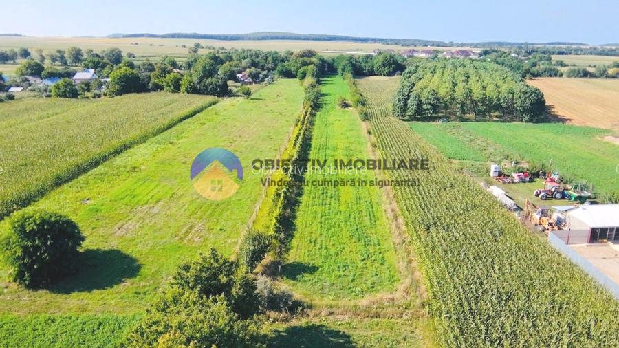 TEREN intravilan  6764 mp DRAGOMIREȘTI - VAD. - 3