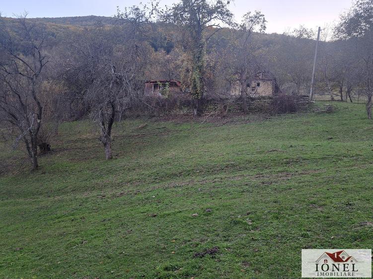 Vanzare casa cu 17.399 mp teren in Vintu de Jos - Valea Vintului