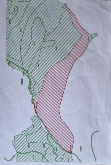 Teren forestier 27,27 ha, Valea Lugojului, Acces facil, 10.000 €/ha