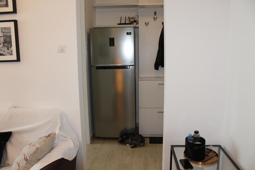 Hop Into Your New Home – 2-Room Apartment with Bubu & Babu!