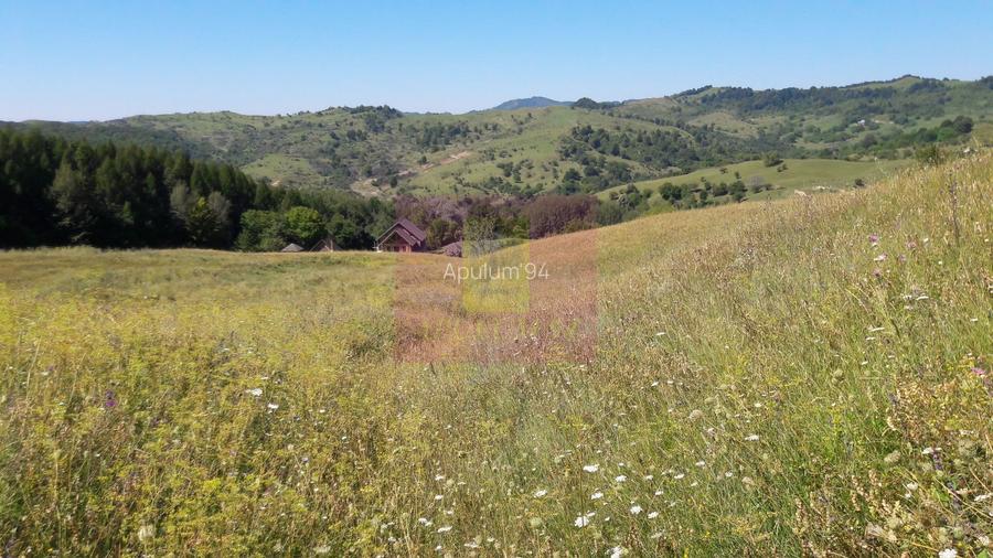 Teren intravilan de vanzare in Breaza (dezvoltare imobiliara) - 6