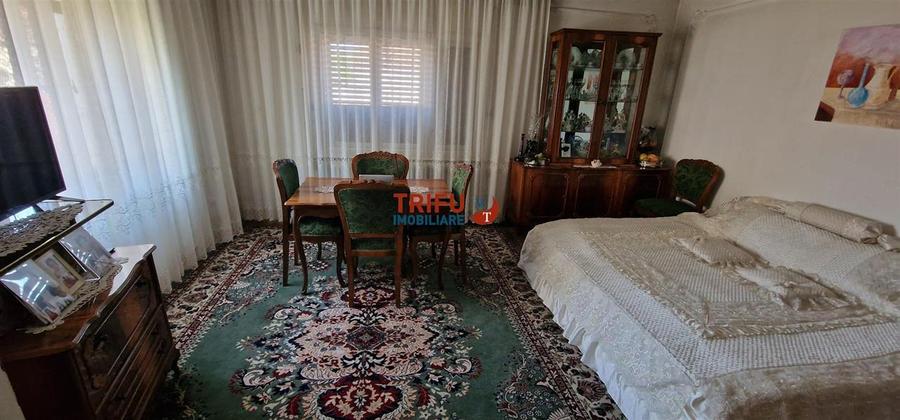 Casa 5 camere 743 mp teren Sebes