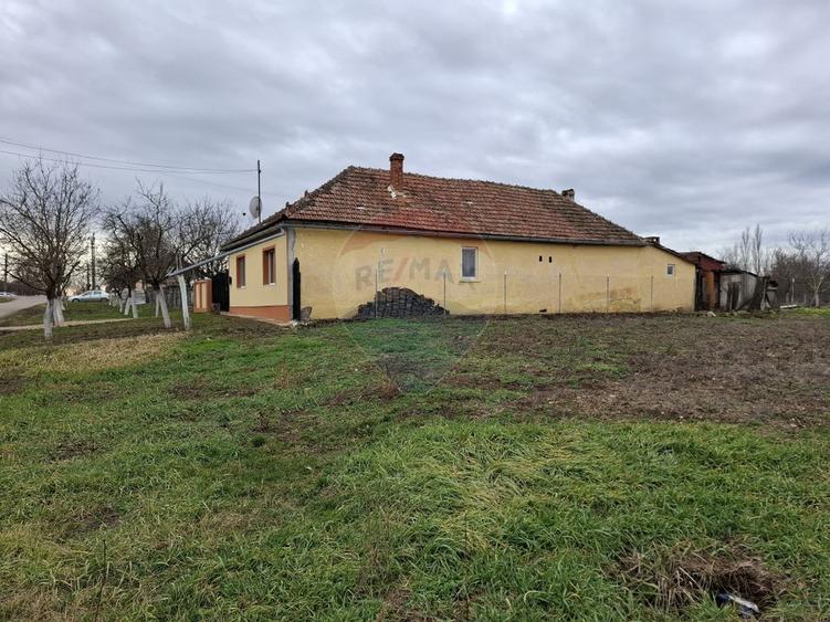 Teren intravilan 1,241mp Frumușeni, Arad