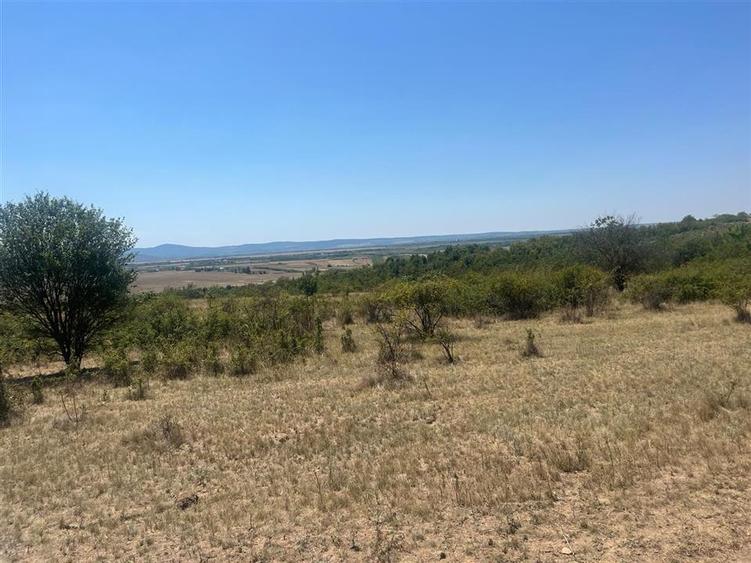 RECO Teren extravilan Holod 27400 mp