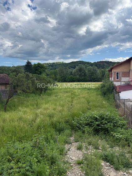 Teren plat-intravilan -3800 mp, cu pădurice și ieșire la râu! - 27