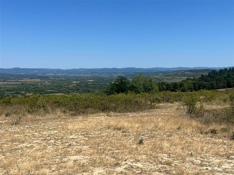 RECO Teren extravilan Holod 27400 mp