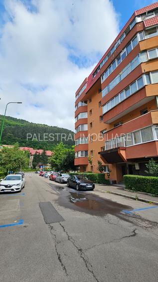 Exclusiv-Garsoniera Racadau,mobilata-utilata modern,renovata,330 Euro - 10