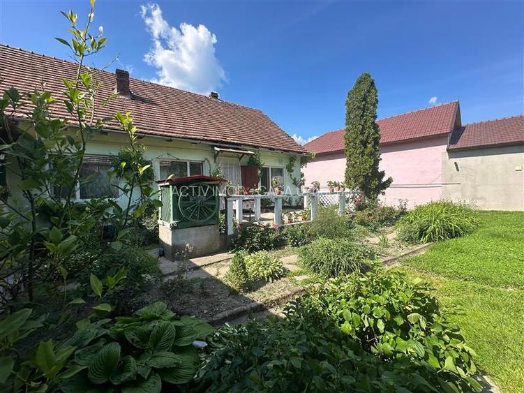 Bocsa Montana, Casa mare la strada principala - 25