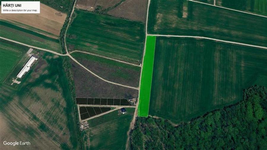 Vanzare teren 10.000 mp, Snagov - Ciolpani, padure, utilitati