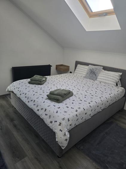 Proprietate exclusivistă pentru locuință sau pensiune – cameră VIP cu jacuzzi