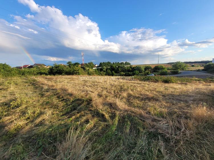Teren 2.722 Mp Pitesti Oportunitate Investitionala Deschidere 42Ml - 4