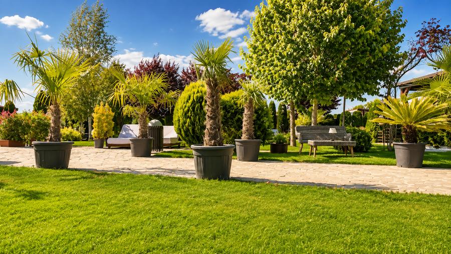Afacere la cheie Brasov-Cazare, evenimente, wellness, piscina