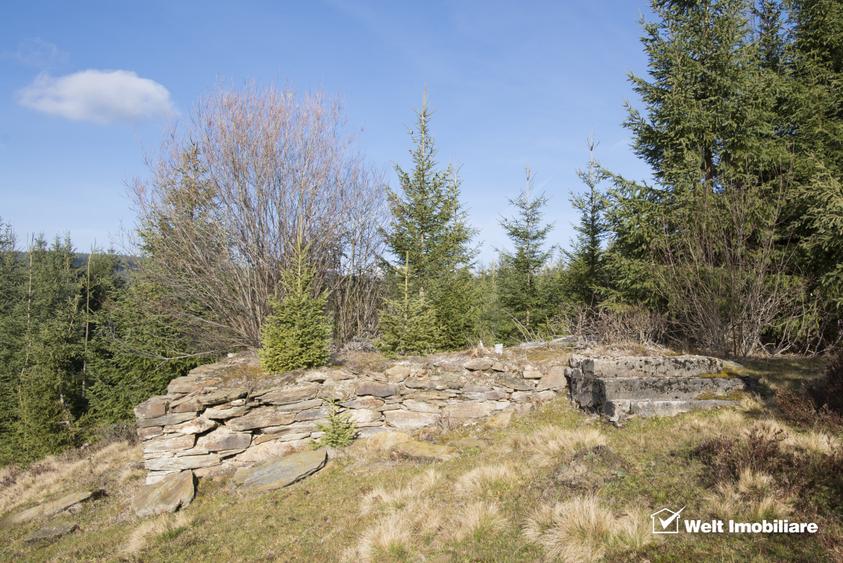 Eco Retreat Land in Apuseni Romania - Poiana Horea