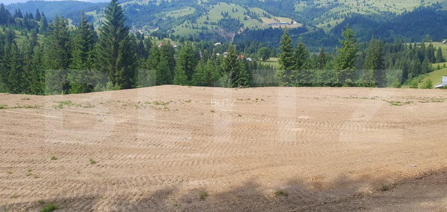 Teren 18.933 mp, parcelabil, zona Vatra Dornei - 6