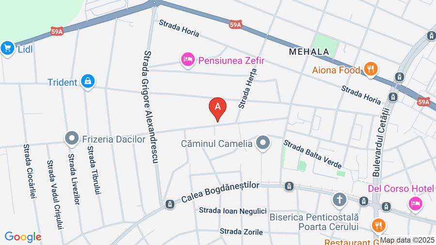 Proprietar, vând teren intravilan 997 mp, MEHALA, str. MOISE DOBOȘAN, preț NEGOC